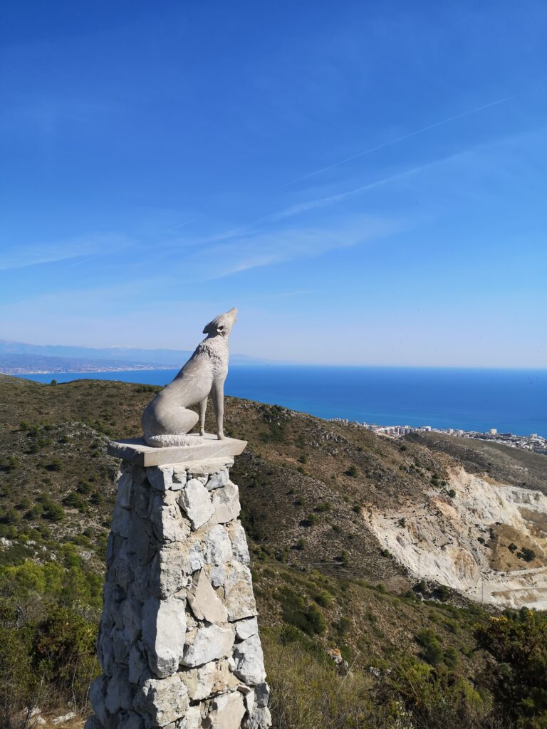 Lee más sobre el artículo Senderismo en el mirador de la cañada de lobo