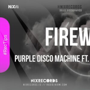 Lee más sobre el artículo Making of «fireworks» Purple Disco Machine